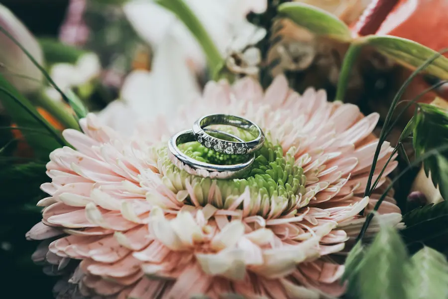 💍Tu Lista de Regalos de Boda Online con Relion